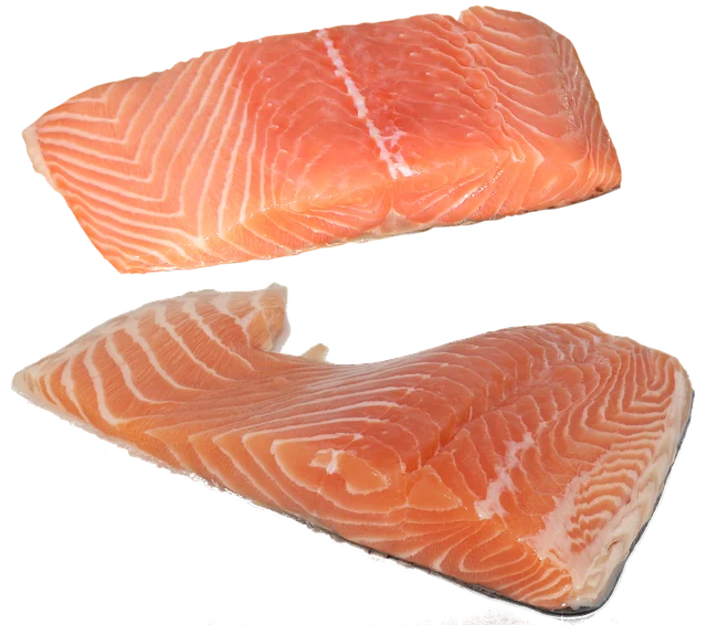 Porciones de salmón | Granjas Orzo