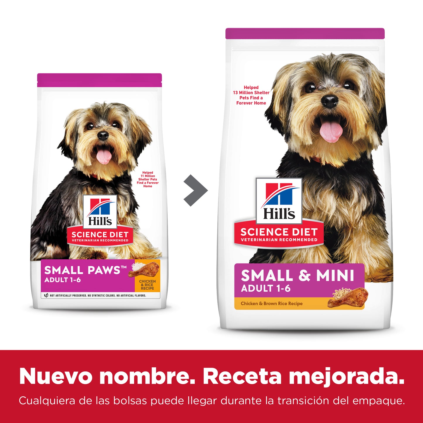 Hill's Science Diet Small Paws Adult 1-6  Presentación: 2.04 Kg