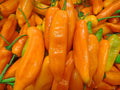Chile ají