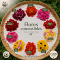 Flores comestibles