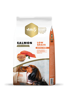 AMITY SUPER PREMIUM MINI ADULT SALMON 2 kg / 7kg