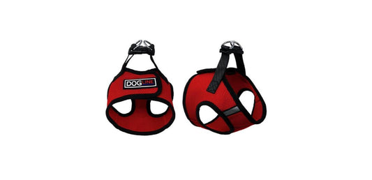 Dogline – Boston Harness