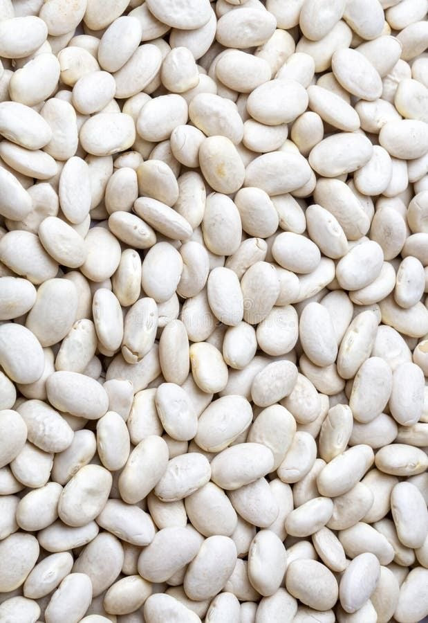 Frijol blanco