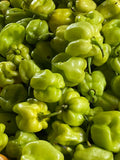 Chile panameño