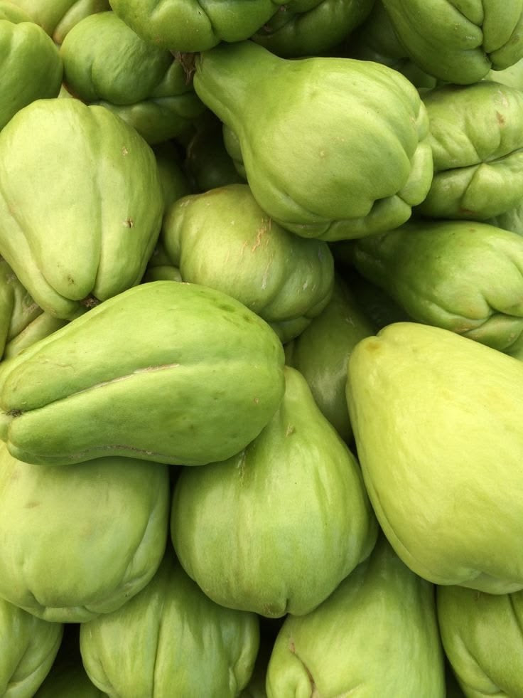 Chayote cocoro