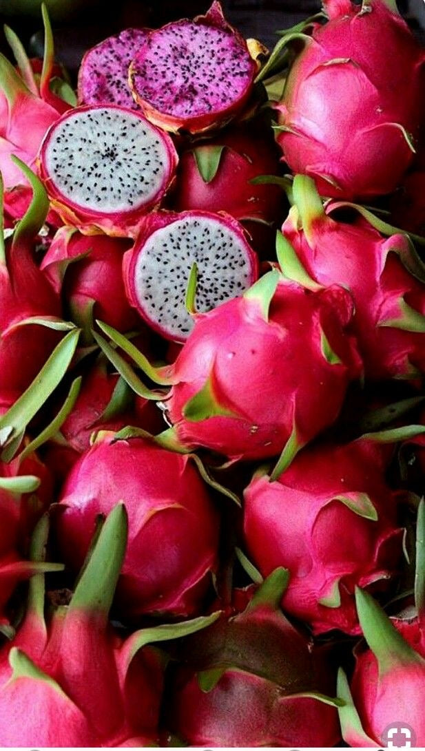 Pitahaya