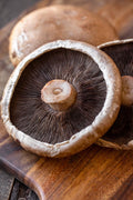 Hongo portobello