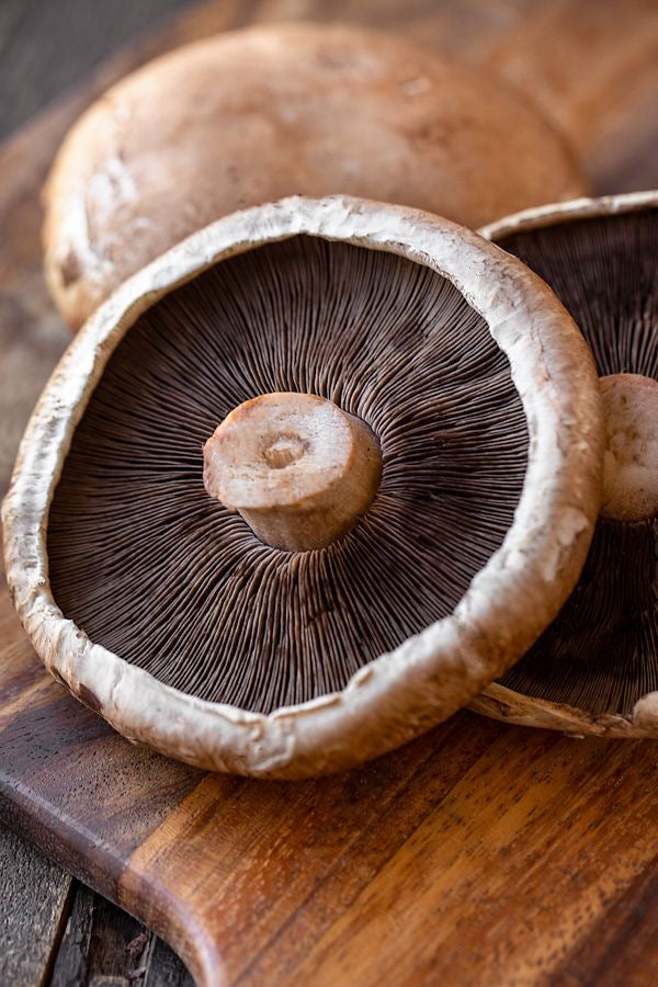 Hongo Portobello