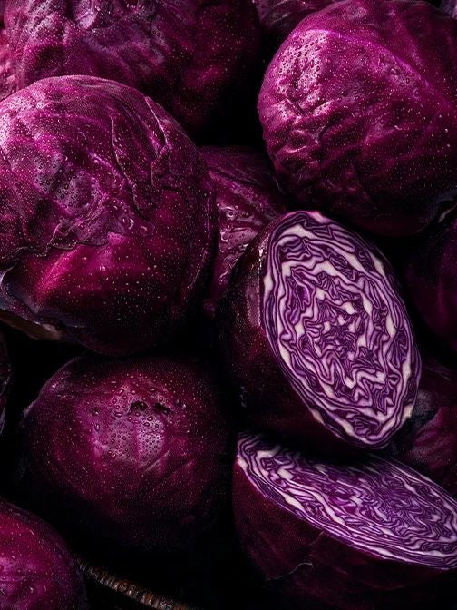 Repollo morado