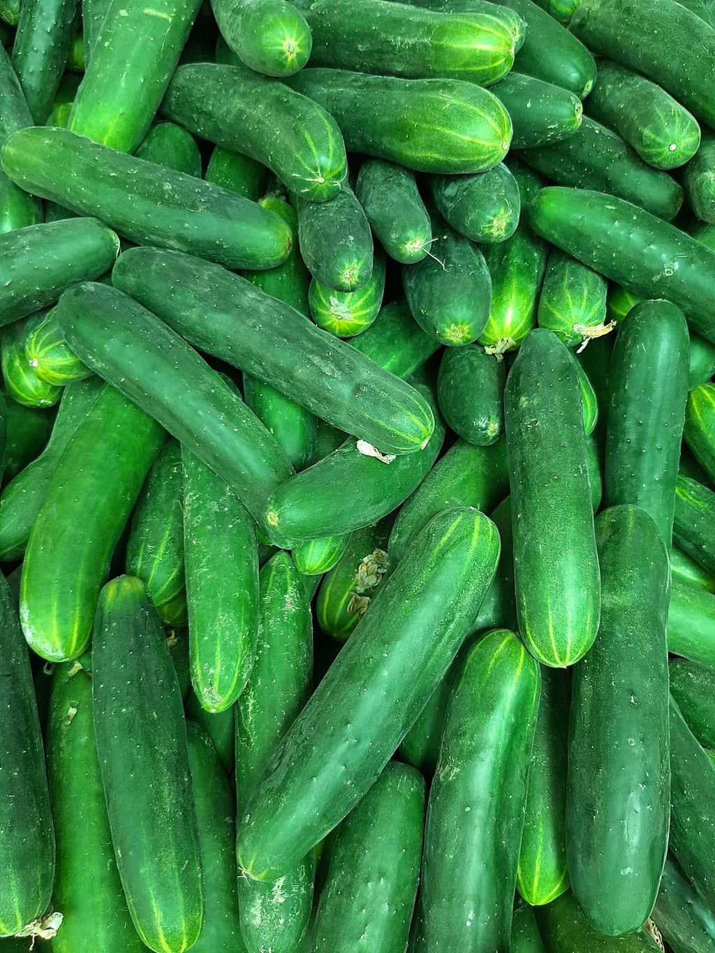 Pepino