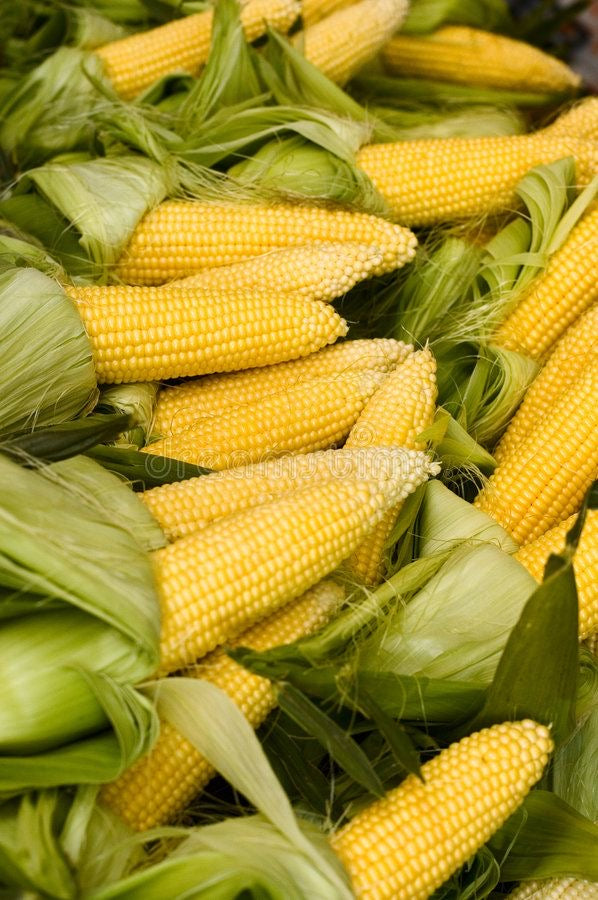 Elote