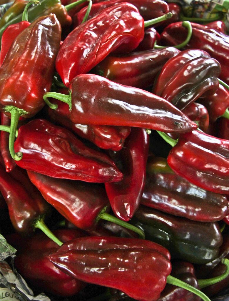 Chile dulce